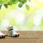 今日はゆっくり身体のメンテナンスの日